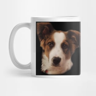 Charly Australian Shepherd Mix Mug